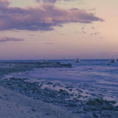 一肖三码app下载截图